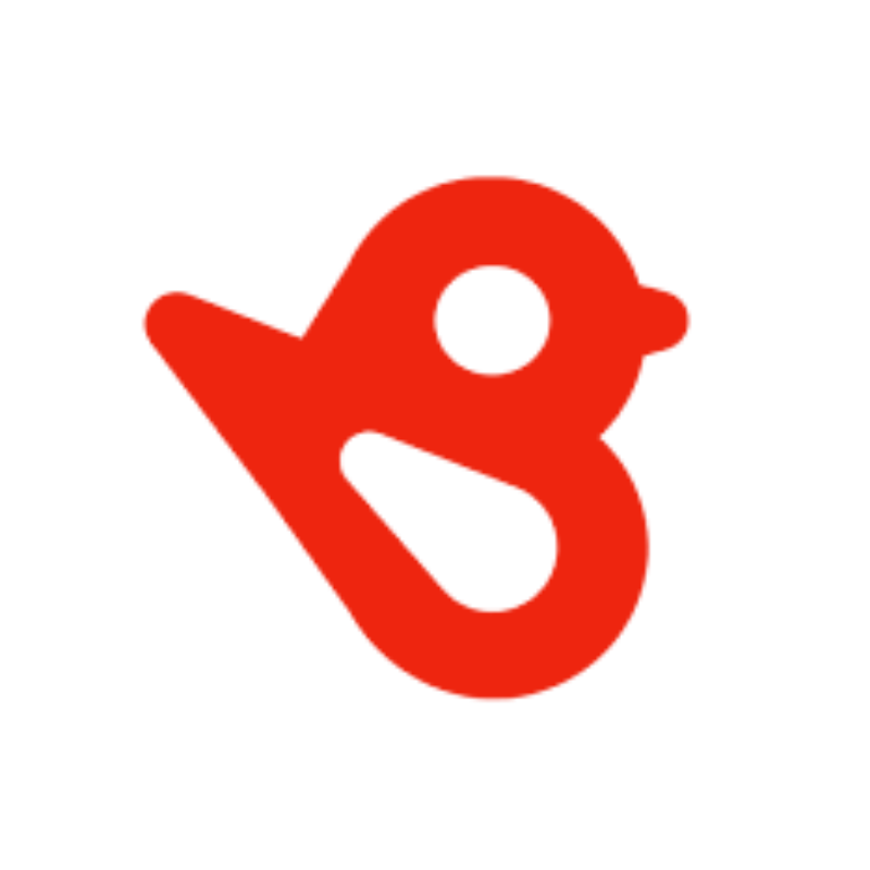 Bird Eye logo